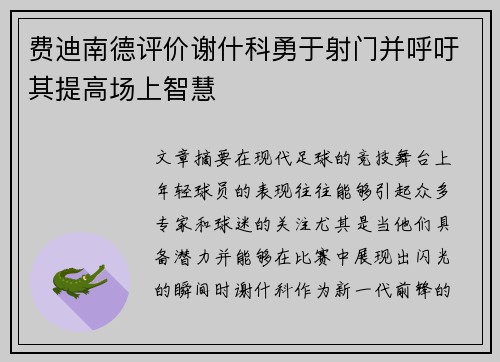 费迪南德评价谢什科勇于射门并呼吁其提高场上智慧