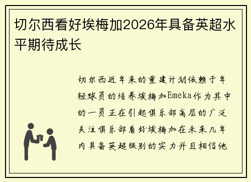 切尔西看好埃梅加2026年具备英超水平期待成长